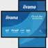 IIYAMA Interaktivni zaslon All-in-One PCAP, 65"